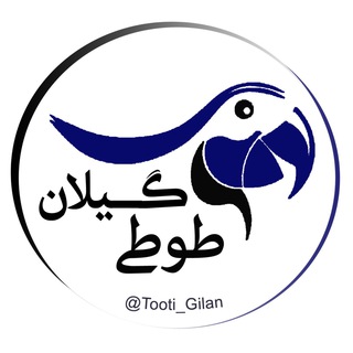 Telegram profile photo for طوطى گيلان
