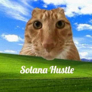Telegram profile photo for SOLANA HUSTLE счастье не в деньгах