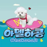 Telegram profile photo for 아델이 카톡집