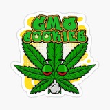 Telegram profile photo for Exøtiç Døçtør🌱🤓