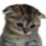 Telegram profile photo for ленивыйголубец