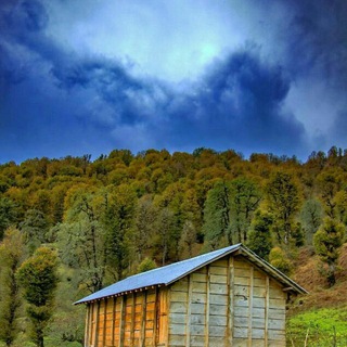 Telegram profile photo for علمی سیاسی فرهنگی