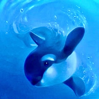Telegram profile photo for Подводный мир 🐬