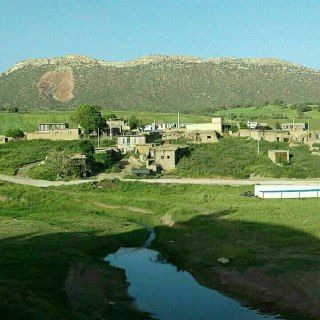 Telegram profile photo for آوای سوران