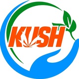 Telegram profile photo for Wiirtuu Yaala Aadaa Kuush