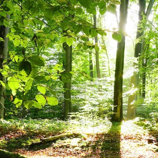 Telegram profile photo for جملاتِ حال خوب کن