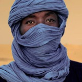 Telegram profile photo for Dakar Racer