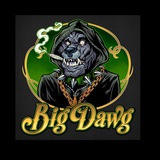 Telegram profile photo for BIG DAWG PLAYS