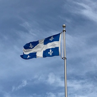 Telegram profile photo for Непричёсанный Квебек, uncombed Quebec Canada