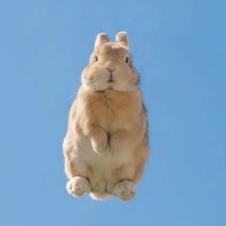 Telegram profile photo for Гуд монинг