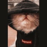 Telegram profile photo for °•نٰآطِيـنْگْ تآیْمْـ•°