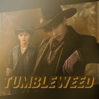 Telegram profile photo for 𝑻𝑼𝑴𝑩𝑳𝑬𝑾𝑬𝑬𝑫