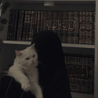 Telegram profile photo for Light of Islam 🕯