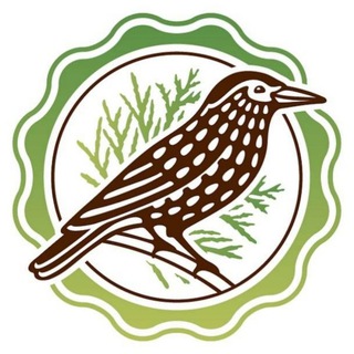 Telegram profile photo for НПО "ДЭЛЬФА" - Здоровье начинается здесь!
