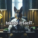 Telegram profile photo for Yıldız Köpeği sacİT
