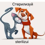 Telegram profile photo for Стерилизация по районам