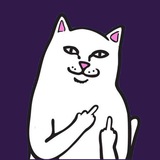 Telegram profile photo for lazy log