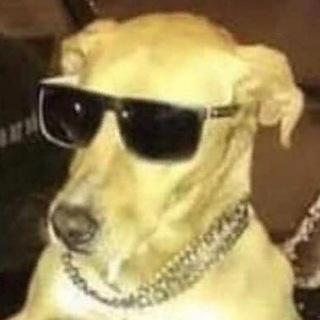 Telegram profile photo for ЧЗХ