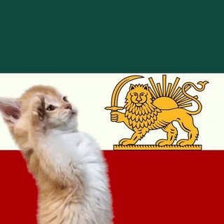 Telegram profile photo for Unknown