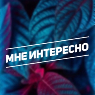 Telegram profile photo for Конья. Мне интересно.