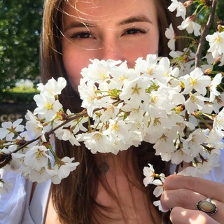 Telegram profile photo for Mystic Bliss Healing ✨️