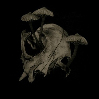 Telegram profile photo for 🇺🇦⚡️𝕲𝖗𝖞𝖇𝖔ᛋ𝖊𝖑🍄 🦅