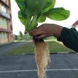 Telegram profile photo for Soalan Percubaan Pertanian SPM