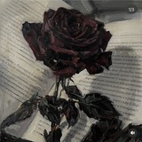 Telegram profile photo for †♡𝕻𝖔𝖎𝖘𝖔𝖓 𝕯𝖗𝖊𝖆𝖒𝖘 𝕷𝖎𝖋𝖊♡†