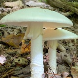 Telegram profile photo for новый мировой положняк