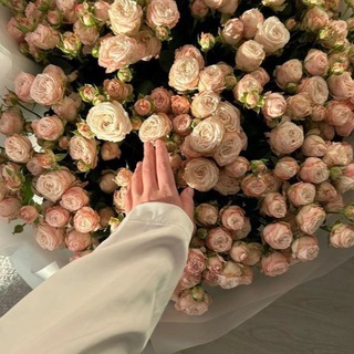 Telegram profile photo for 🎀 Комната Marrry 🎀