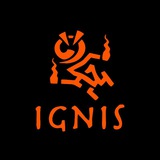 Telegram profile photo for Ignis MIPT
