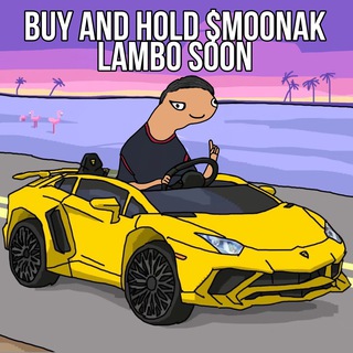 Telegram group profile photo for Solana MemeCoins