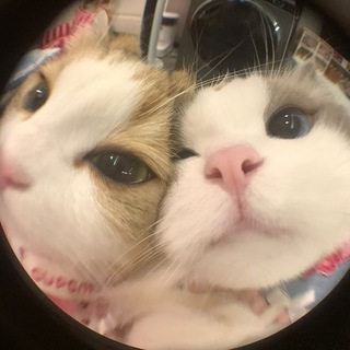 Telegram profile photo for 0xyg3nnn