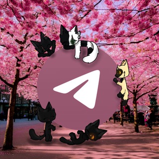 Telegram profile photo for ×|Закрыт|×|°•🌷Кᴏᴛы ʙᴏиᴛᴇᴧи | Wᴀrriᴏrs ᴄᴀᴛs🌷•°|