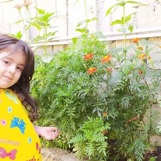 Telegram profile photo for اعتماد مشتریها🌿RONYAS🌿