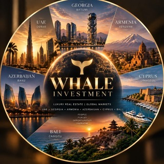 Telegram profile photo for ИНВЕСТИЦИИ С WHALE