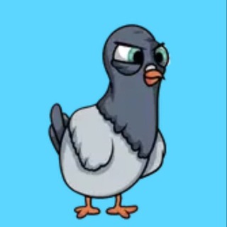 Telegram profile photo for Pigeon Park