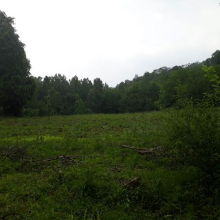 Telegram profile photo for کانال رسمی روستای بیجارکی- گیلان.رودبار