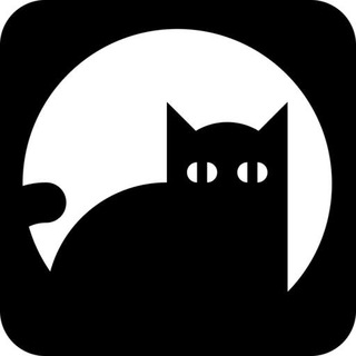 Telegram profile photo for StiCat