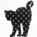 Telegram profile photo for 🎼♥︎. moncherie : archive.