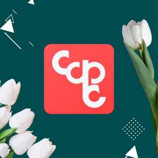 Telegram profile photo for СЗ "Спецфундаментстрой"