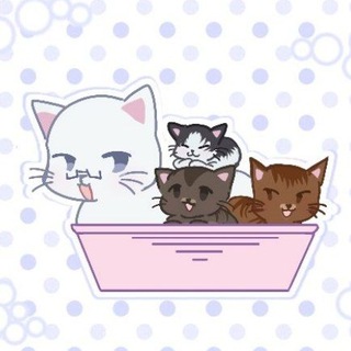 Telegram profile photo for Тарелка 🛸