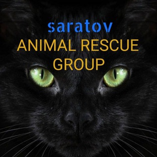 Telegram profile photo for animal_rescue_group.saratov