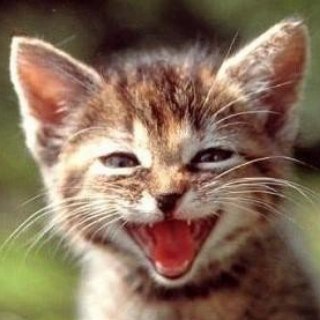 Telegram group profile photo for onenation_fr_humour