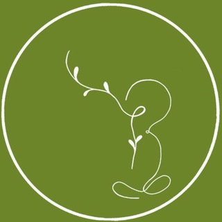 Telegram profile photo for «نشستن» | Amirali Najafi