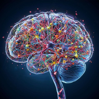 Telegram profile photo for Немного о ЦНС и нейрореабилитации🧠🧑🦼➡️🦾