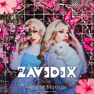 Telegram profile photo for ZAVIDIX
