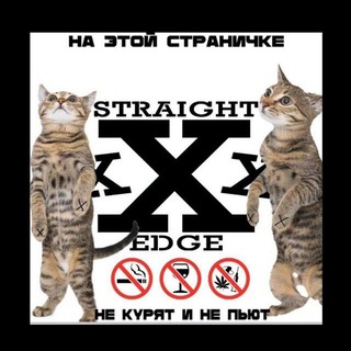 Telegram group profile photo for фан група сима победиеоши