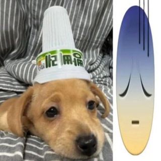 Telegram profile photo for ℳ𝓊𝒽𝒶✂️🪰