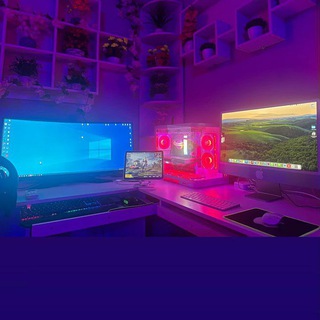 Telegram profile photo for Free income